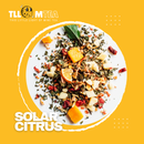 Solar Citrus – Immune-Boosting Tropical Tea